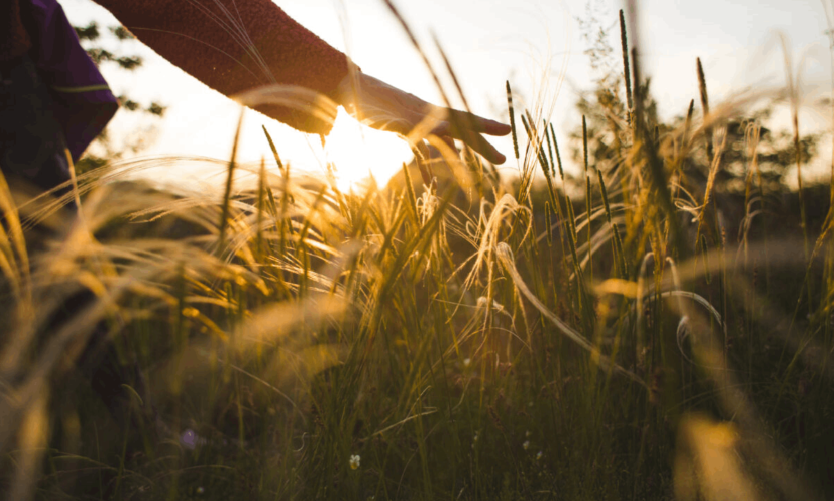 AdobeStock_448362884-1200×800-1