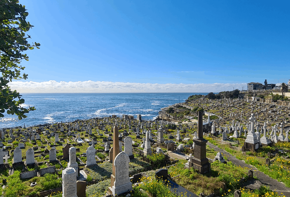 Waverley Council Cemetery